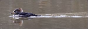 img_0527a