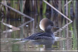 img_0536a