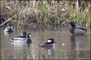 img_0538a