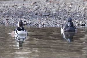img_0541a
