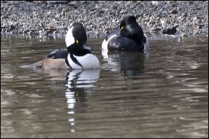 img_0542a
