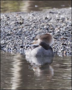 img_0545a