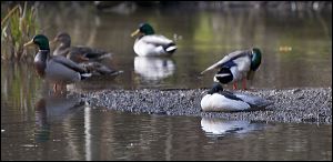 img_0546a