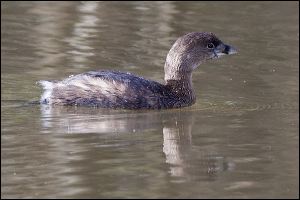 img_0552a