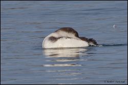 04_20120212_rgs_9126