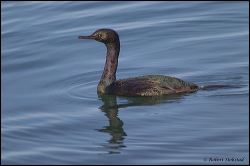 16_20120212_rgs_9107