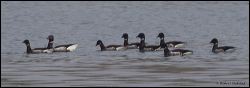 27_20120212_rgs_9266