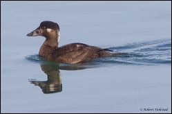 30_20120212_rgs_9070