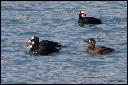 31_20120212_rgs_9132