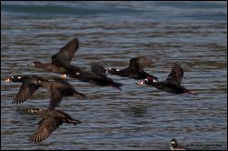 34_20120212_rgs_9204