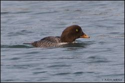 41_20120212_rgs_9331