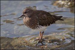 44_20120212_rgs_9218