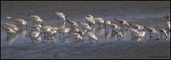 47_20120212_rgs_9250