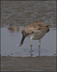 50_20120212_rgs_9321