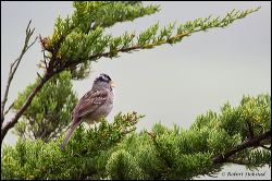 001-20120424_rgs_2519