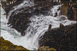 020-20120424_rgs_2623