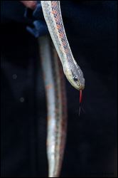 034-20120424_rgs_2672
