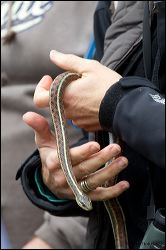 037-20120424_rgs_2678