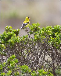 046-20120424_rgs_2737