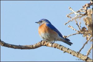 01_20120205_rgs_8922