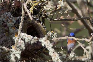 20_20120205_rgs_8993