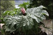 img_4758