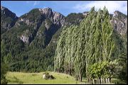 img_4920