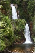 img_4929