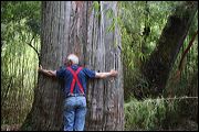 img_5560