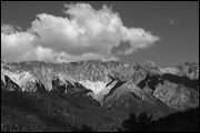 img_5776a_bw