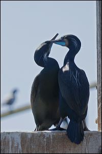 img_3119a
