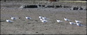 img_3155a