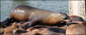 img_3181a