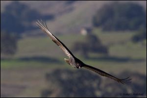 04_20111022_rgs_4740