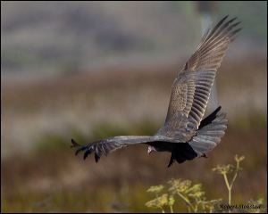 05_20111022_rgs_4742