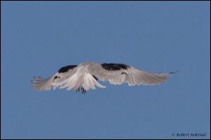 11_20111022_rgs_4773