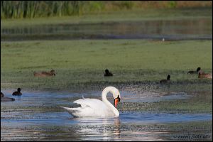 14_20111022_rgs_4785