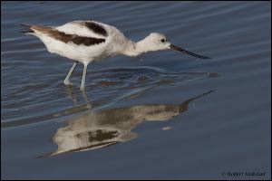 15_20111022_rgs_4807