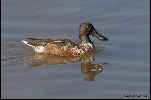 16_20111022_rgs_4810