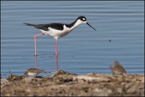 19_20111022_rgs_4826