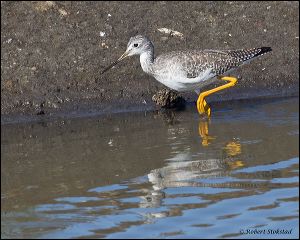 20_20111022_rgs_4829