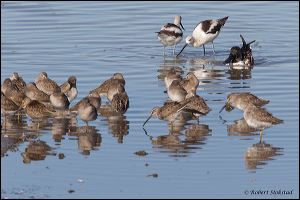 22_20111022_rgs_4812