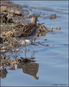 25_20111022_rgs_4851