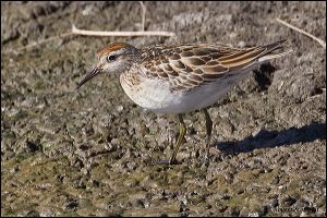 27_20111022_rgs_4860