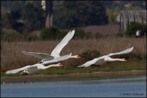 28_20111022_rgs_4884
