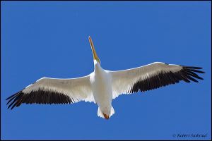 30_20111022_rgs_4917