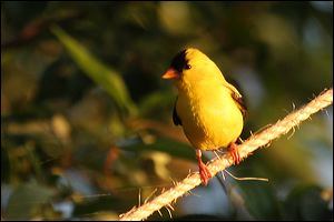 img_9145