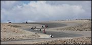 img_6955a
