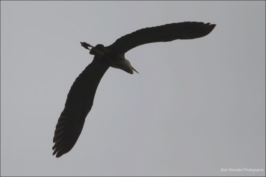 be3i8709.jpg