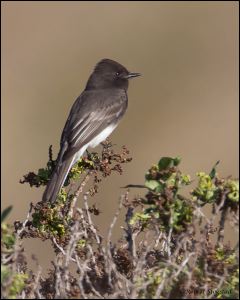 09_20111015_rgs_4440